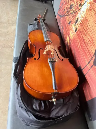 VIOLONCELO EAGLE 4/4