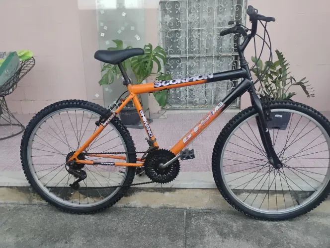 BICICLETA (OPORTUNIDADE!)