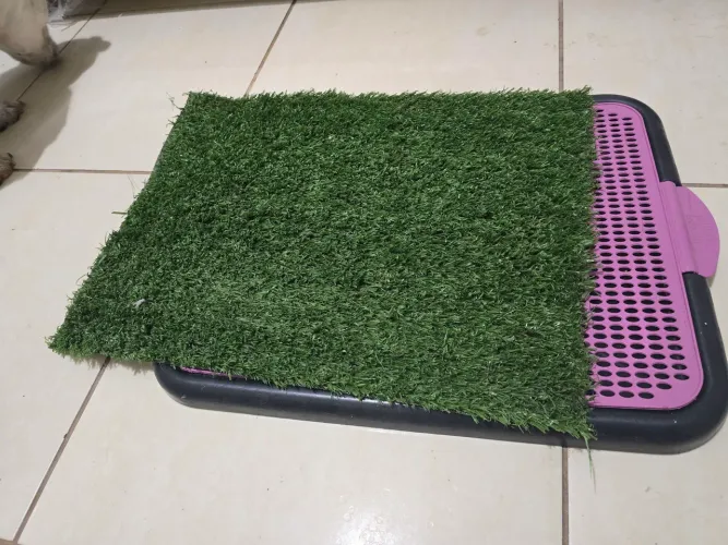Tapete higiênico para Pet