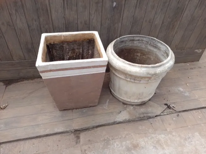 Vasos de planta