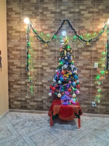Árvores de Natal sem as bolas