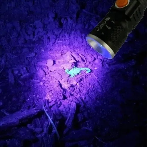 Mini Lanterna Ultravioleta (Acampamento, Escorpião, Luz Negra)