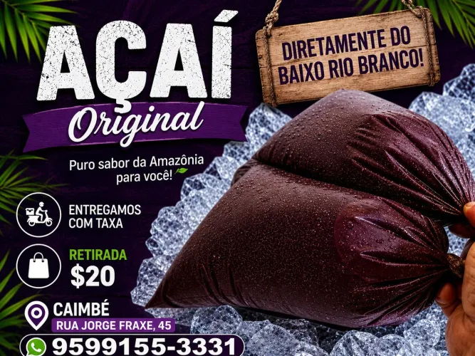 Açaí e cupuaçu do baixo rio branco 