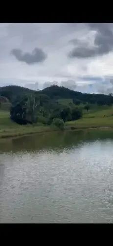 Vendo Fazenda em Niquelândia - GO com 20 Alqueires (porteira fechada)