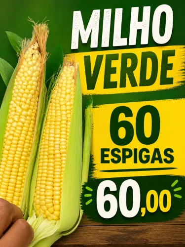 MILHO VERDE PAMONHA
