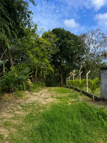 TERRENO À VENDA - MOGI DAS CRUZES/SP ESTRDA DO TABOÃO- 900 m²
