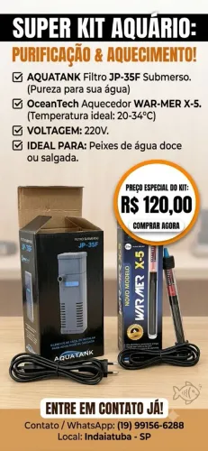 Purificador e aquecedor de aquário.