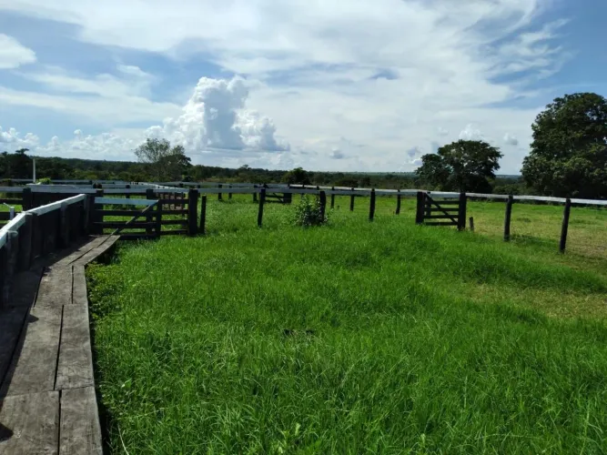 Fazenda Jussara 
