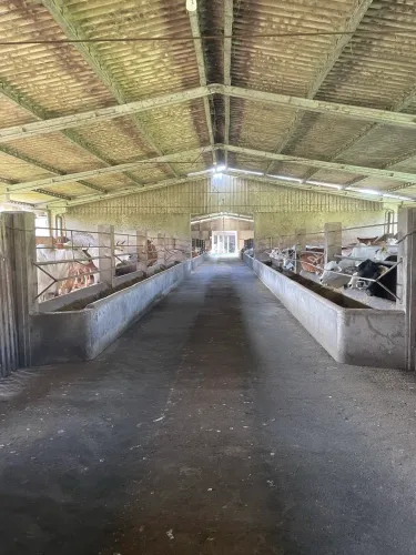 Fazenda à venda Vale do Itajaí 