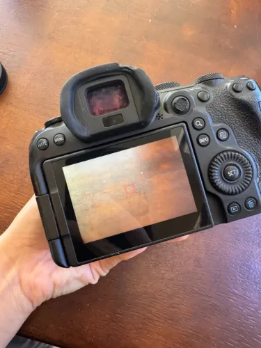 canon r6