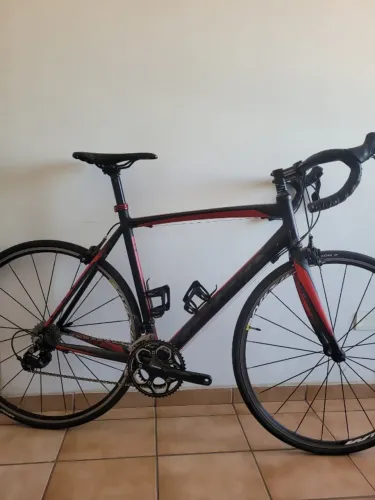 Speed Coluer Tam 56