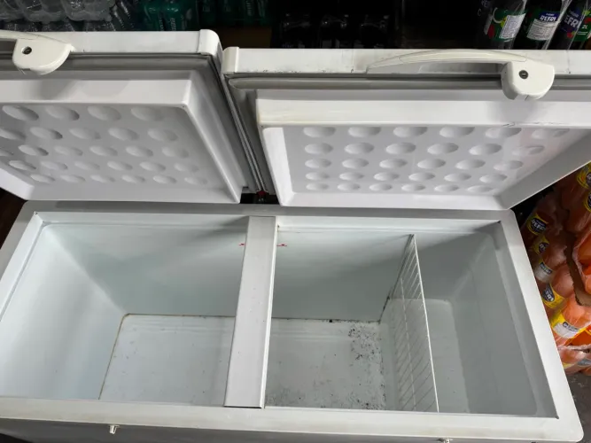 Freezer Fricon 503L