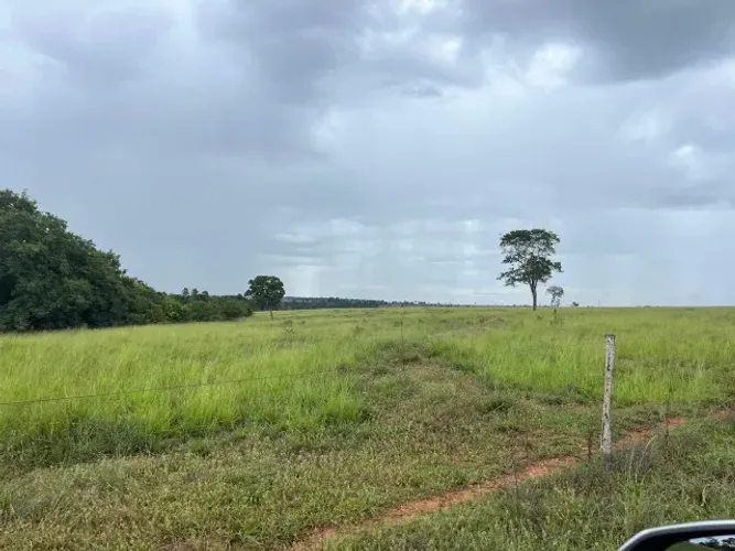 fazenda em itarumã-Goiás