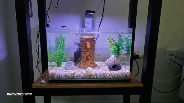 Aquario Vidro Curvo 22LT Oceantech