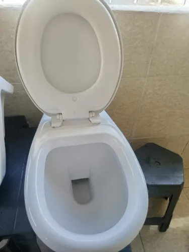 Vaso para banheiro
