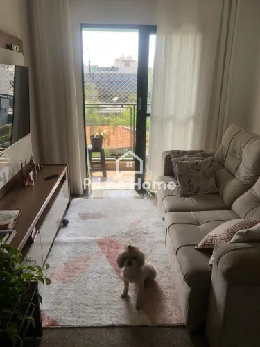apartamento - Vila São Bento - Campinas