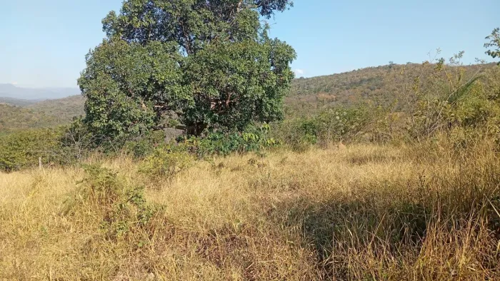 Vendo  lote serra do cipó 2 mil metros 