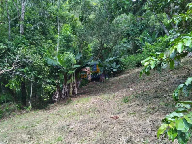 Chácara para Venda em Antonina, Caixa da Água