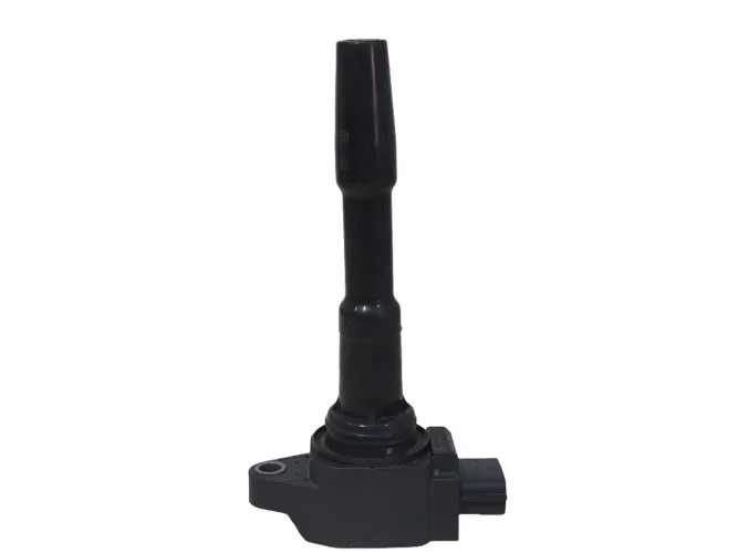 Bobina De Ignição Duster 1.6 2016/2020