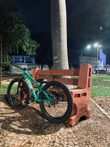Vendo bike veking 25