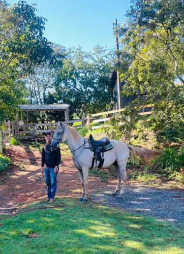 Cavalo Luzitano vendo ou troco