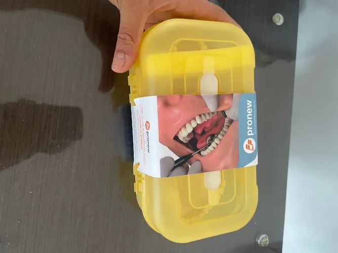 Manequim Articulado Pronew PD 102 - Periodontia | NOVO E LACRADO