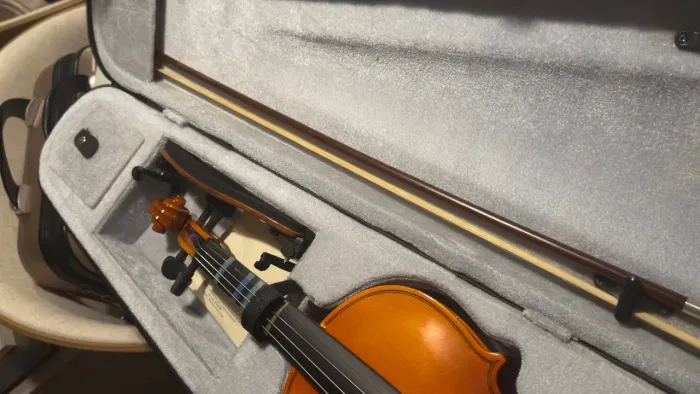 Violino Barth Nt Bright 4/4- C/ Estojo Térmico + Arco + Breu