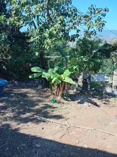 Venda