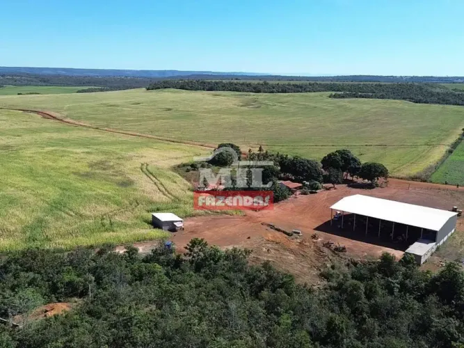 Fazenda 140 alquieres (677,6 hectares) Palmas (Buritirana) - To
