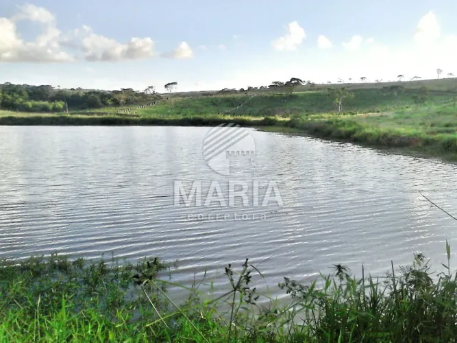 Lote à venda dentro de condomínio em Vitória de Santo Antão/PE!