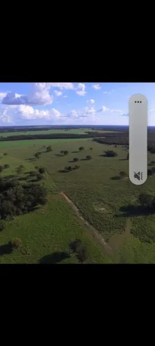 Fazenda em Alvorada To