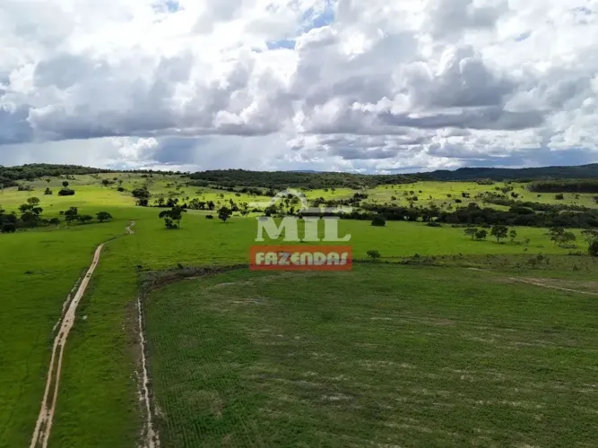 Fazenda 62 alqueires (300,08 hectares) Uruceres - Go