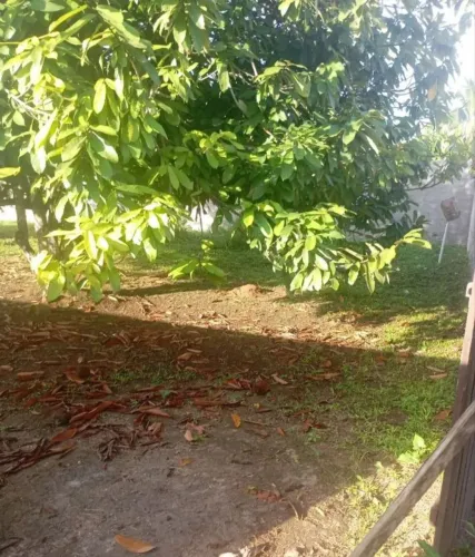 terreno no centro