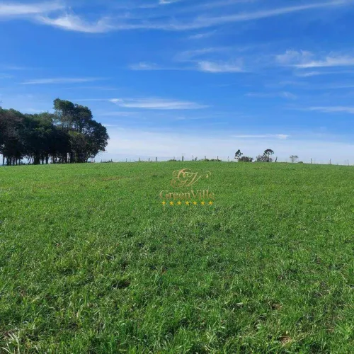 Lapa | 50 Alqueires | Planta 15 Alqueires | Própria pra Gado