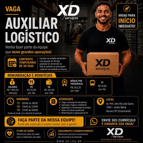 Auxiliar logístico