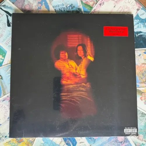 Vinil Selena Gomez - I Said I Love You First (Autografado)