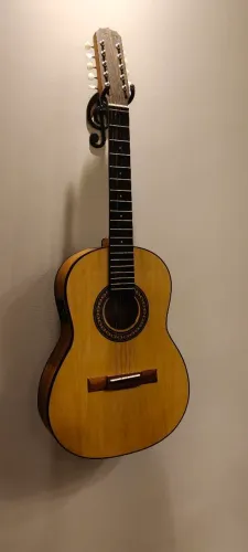 Viola caipira rozini elétrica 