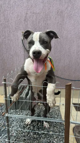 Doação responsável Staffordshire