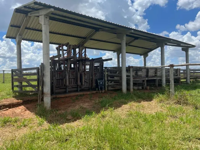 Fazenda à Venda Casa Verde (MS) | 125 Alqueires | R$ 9.000.000