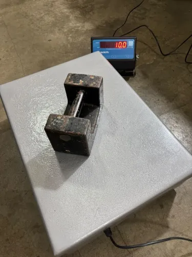 Balança Michelletti 300 kg somente energia