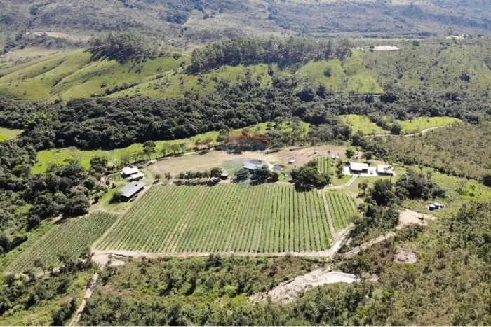 Vinícola Exclusiva à Venda na Serra da Canastra  Uma Joia Rara para Investidores e Amantes