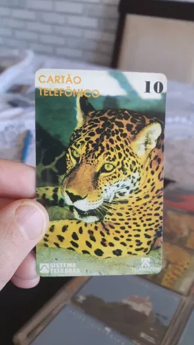 Raridade!!! Mídia Pioneira Telebras "Onça Pintada" Eco 92 fabricante interprint