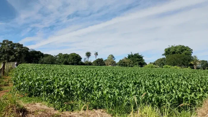 Chácara de 7 hectares na Pedra Fundamental - Planaltina DF