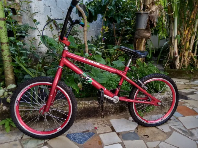 Bicicleta aro20 bicicross