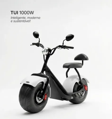 Tui pop