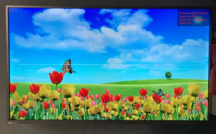 Smart TV Philco 42 Polegadas