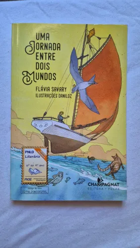 Livro Uma Jornada Entre Dois Mundos ? Flávia Savary