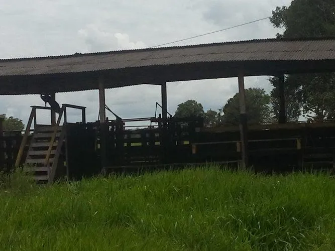 46 alqueires a 18 km de Castanhal por R$ 4 milhões de reais