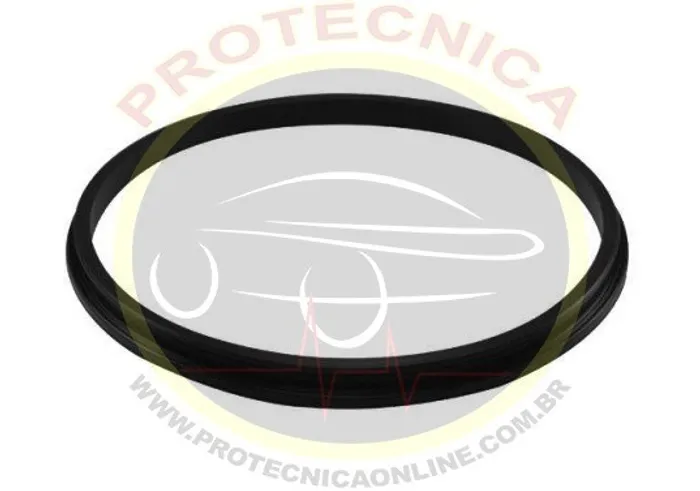 Guarnição da Flange - DS1461