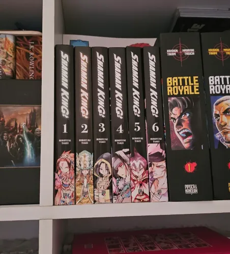 Shaman king mangás vol 1 ao 6